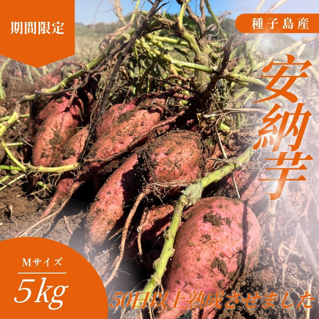＼ 新物 / 種子島 安納いも ＼ Mサイズ 生芋 5kg / 西田農産 ふるさと納税 さつまいも 生芋 長期熟成 焼き芋 ホクホク ねっとり 蜜が出るほど 甘い 安納芋 芋 ふるさと 人気 ランキング