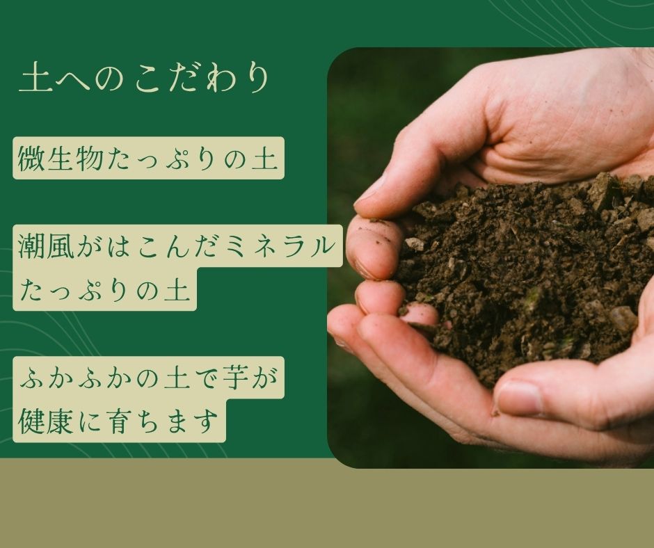 鹿児島県西之表市の画像3