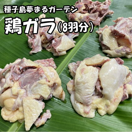 種子島　夢まるガーデンの鶏ガラ（8羽分）約3kg