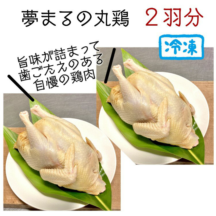 【ふるさと納税】種子島　夢まるガーデンの丸鶏（2羽分）約2kg