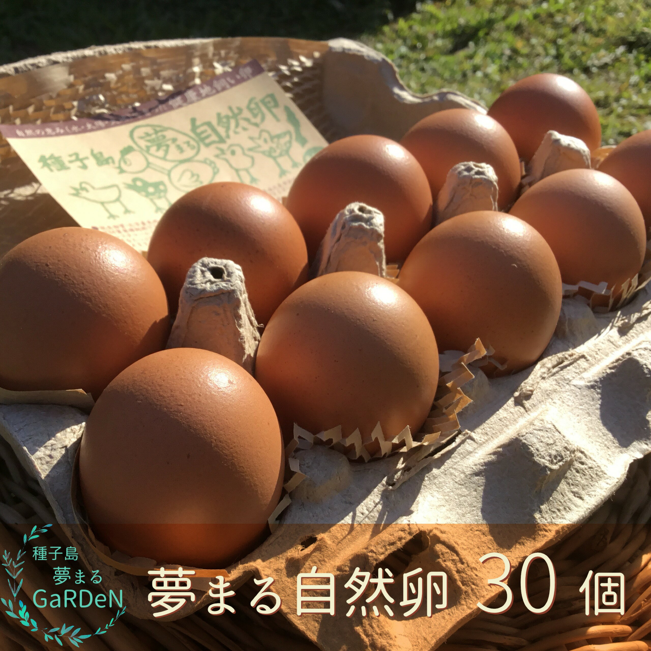 種子島 夢まるガーデン 平飼い 鶏 産みたて 卵 タマゴ 30個 (1パック10個入り×3) 種子島産 安納芋 含む 栄養 たっぷり 独自の飼料 育て方 環境に こだわり 新鮮 で おいしい 玉子 採れたて 生卵