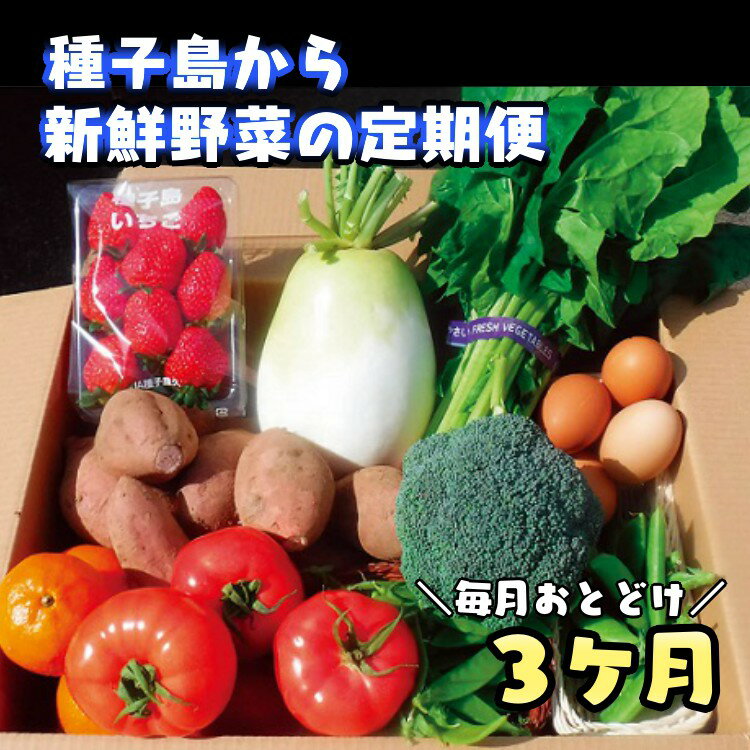 【ふるさと納税】【定期便】 種子島採れたて産地直送 3か月連続お届け 【 野菜 果物 7～10品目 + 鶏卵...