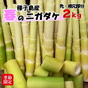 【ニガダケの季節がやってきた！】◆ただいま順次発送中！◆令和6年度産の「種子島産 ニガダケ」地元ではニガ竹（苦竹）と呼ばれている、種子島産のタケノコです。名前に反し、苦みは無く、あく抜きの必要もありません。筍特有のサクッとした食感はありますが、孟宗竹に比べて柔らかく、歯触りが良いのが特徴です。鮮度の良いニガ竹は、トウモロコシに似た甘い香りがします。あく抜き不要のため、湯がいてマヨネーズや酢味噌で食べたり、そのまま天ぷらや煮物にもできる他、味噌汁や炒め物の具材としてもおすすめです。商品説明名称種子島産のニガ竹（苦竹）先・根元セット2kg産地鹿児島県種子島産内容ニガ竹（たけのこ）生（外皮処理済）内容量2kg（先部分：1kg、根元部分：1kg）皮を剥いた状態で、冷蔵発送いたします。保存方法冷蔵庫で保存賞味期限：5日間　　　　　　　　　　　消費期限：到着後約5日※お早めにお召し上がりください。販売元浜島商店鹿児島県西之表市取扱期間春：5月〜6月下旬頃秋：10月頃備考■天候により取扱期間が変わる可能性がございます。「ふるさと納税」寄付金は、下記の事業を推進する資金として活用してまいります。 寄付を希望される皆さまの想いでお選びください。 (1) おまかせ (2) 地元産業の育成 (3) 市外との交流 (4) 子育て支援 (5) 高齢者生きがいづくり (6) 学校教育の充実 (7) 環境保全 (8) 集落の維持・強化 特段のご希望がなければ、市政全般に活用いたします。 入金確認後、注文内容確認画面の【注文者情報】に記載の住所にお送りいたします。 発送の時期は、寄附確認後14日以内を目途に、お礼の特産品とは別にお送りいたします。