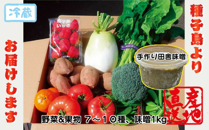 【ふるさと納税】種子島 発!旬の 野菜 と 果物 と 手作り田舎味噌 セット