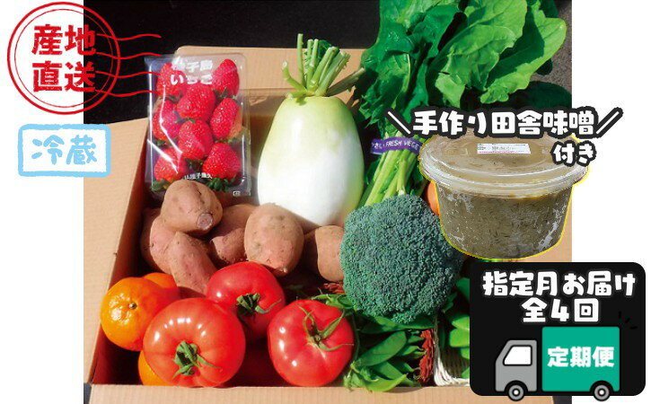 【ふるさと納税】【 定期便 全4回 】 種子島 の 新鮮 野菜 と 果物 7~10品 と 田舎味噌1kg セット(3・6・9・12月にお届け)