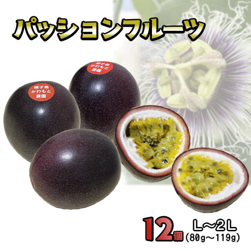【ふるさと納税】 種子島 かわもと農園の パッションフルーツ (12個入り) 甘み の強い サマークイーン パッション フルーツ 【ふるさと納税】 種子島 かわもと農園の パッションフルーツ (12個入り) 甘み の強い サマークイーン パッション フルーツ