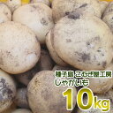  新 じゃがいも 10kg こむぎ屋工房