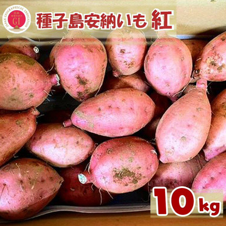 【ふるさと納税】種子島 安納いも 「 紅 」 10kg こむぎ屋工房