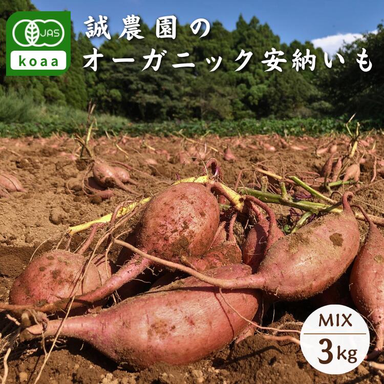 種子島産 オーガニック ( 有機 ) 種子島 安納いも (誠農園) 3kg