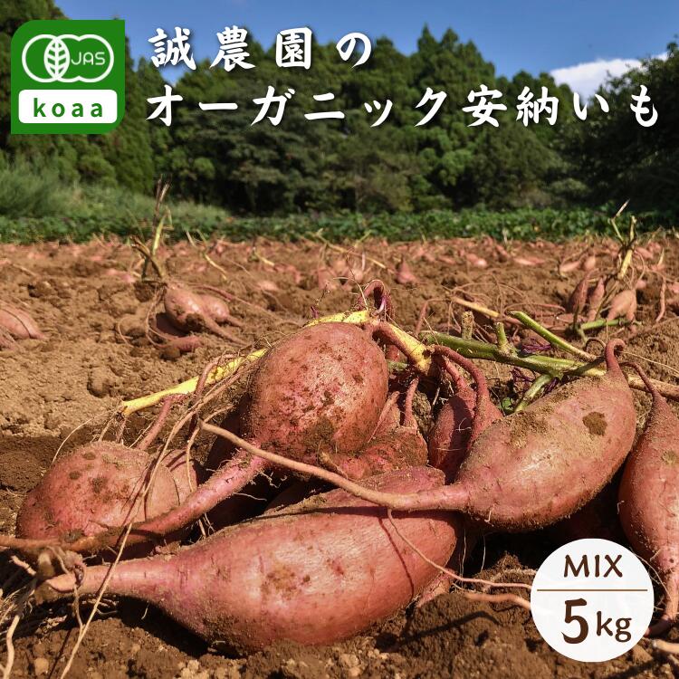 27位! 口コミ数「2件」評価「4」 種子島産 オーガニック ( 有機 ) 種子島 安納いも (誠農園) 5kg