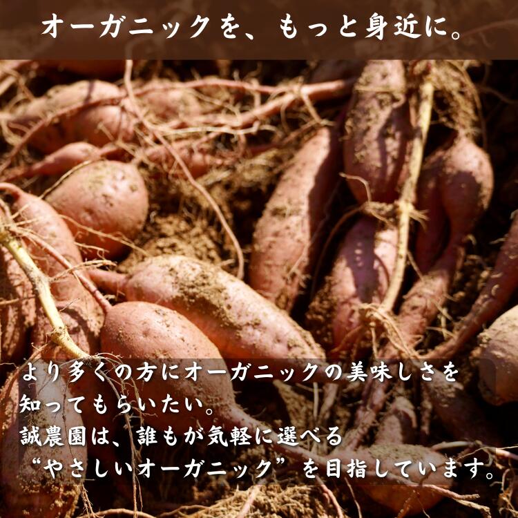 鹿児島県西之表市の画像2