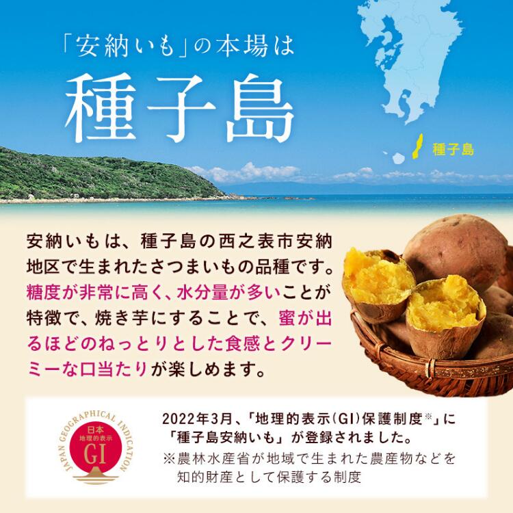鹿児島県西之表市の画像3