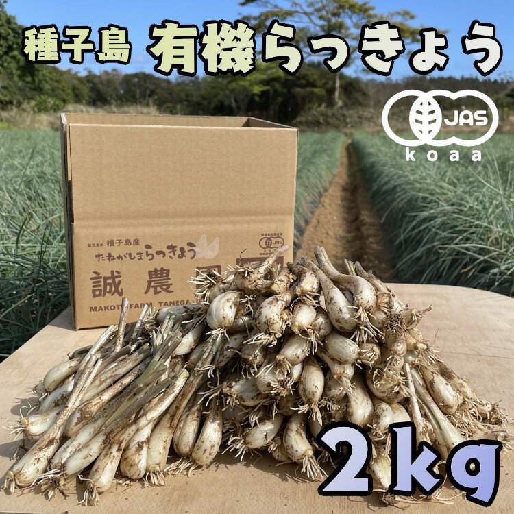 誠農園の野菜は食品の安全・安心や環境にもこだわり全て有機栽培（有機JAS認証koaa1222号）で育てています。健康野菜と名高いらっきょうを種子島のど真ん中で、化学合成農薬を一切使用せず、島の豊かな恵みと愛情で育てています。知る人ぞ知る種子島産のらっきょうの風味をご賞味ください。鮮度を優先するため、土・根つきで種子島から直送します。商品のムレ防止のため袋に入れず発送します。到着後はなるべく早く開封し、ビニール袋（鮮度保存袋1枚同梱）などに入れ、冷蔵庫で保存してください。なるべく鮮度を落とさないためには調理前まで葉、根や薄皮を取り除かずに保存頂くことをオススメします。※時期、気温によって成長差はあるものの新芽は出ます。新芽につきましては、毒性はございませんのでご安心ください。※また、有機栽培で育てたらっきょうのため、サイズは混合となっております。 （サイズ混合は、大きめ、もしくは小さめサイズへ、少し片寄がでる場合がございます。）※以上、予めご了承の上お申込みください。 商品説明名称誠農園のたねがしまらっきょう2kg（有機JAS根つき生らっきょう）産地鹿児島県種子島産内容量生らっきょう2kg取扱期間5月～7月頃生産者誠農園「ふるさと納税」寄付金は、下記の事業を推進する資金として活用してまいります。 寄付を希望される皆さまの想いでお選びください。 (1) おまかせ (2) 地元産業の育成 (3) 市外との交流 (4) 子育て支援 (5) 高齢者生きがいづくり (6) 学校教育の充実 (7) 環境保全 (8) 集落の維持・強化 特段のご希望がなければ、市政全般に活用いたします。 入金確認後、注文内容確認画面の【注文者情報】に記載の住所にお送りいたします。 発送の時期は、寄附確認後14日以内を目途に、お礼の特産品とは別にお送りいたします。