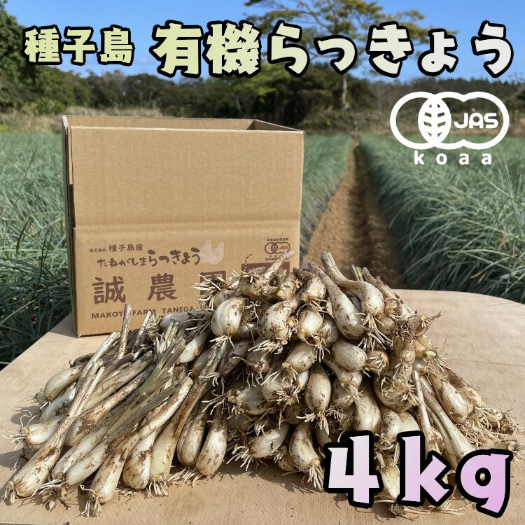 誠農園の野菜は食品の安全・安心や環境にもこだわり全て有機栽培（有機JAS認証koaa1222号）で育てています。健康野菜と名高いらっきょうを種子島のど真ん中で、化学合成農薬を一切使用せず、島の豊かな恵みと愛情で育てています。知る人ぞ知る種子島産のらっきょうの風味をご賞味ください。鮮度を優先するため、土・根つきで種子島から直送します。商品のムレ防止のため袋に入れず発送します。到着後はなるべく早く開封し、ビニール袋（鮮度保存袋1枚同梱）などに入れ、冷蔵庫で保存してください。なるべく鮮度を落とさないためには調理前まで葉、根や薄皮を取り除かずに保存頂くことをオススメします。※時期、気温によって成長差はあるものの新芽は出ます。新芽につきましては、毒性はございませんのでご安心ください。※また、有機栽培で育てたらっきょうのため、サイズは混合となっております。（サイズ混合は、大きめ、もしくは小さめサイズへ、少し片寄がでる場合がございます。）以上、予めご了承の上お申込みください。商品説明名称誠農園のたねがしまらっきょう4kg（有機JAS根つき生らっきょう）産地鹿児島県種子島産内容量生らっきょう4kg取扱期間5月～7月頃生産者誠農園「ふるさと納税」寄付金は、下記の事業を推進する資金として活用してまいります。 寄付を希望される皆さまの想いでお選びください。 (1) おまかせ (2) 地元産業の育成 (3) 市外との交流 (4) 子育て支援 (5) 高齢者生きがいづくり (6) 学校教育の充実 (7) 環境保全 (8) 集落の維持・強化 特段のご希望がなければ、市政全般に活用いたします。 入金確認後、注文内容確認画面の【注文者情報】に記載の住所にお送りいたします。 発送の時期は、寄附確認後14日以内を目途に、お礼の特産品とは別にお送りいたします。