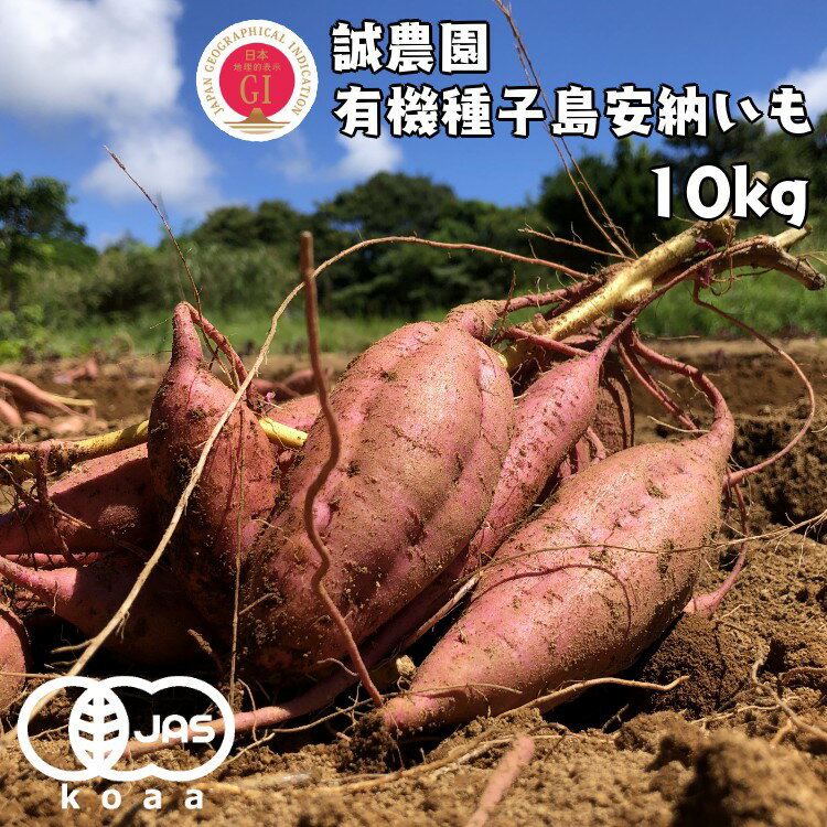 【ふるさと納税】種子島産 オーガニック ( 有機 ) 種子島 安納いも (誠農園）10kg