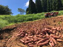 鹿児島県西之表市の画像3