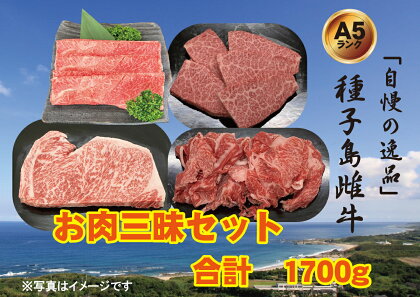 「自慢の逸品」種子島生まれ雌牛　お肉三味セット