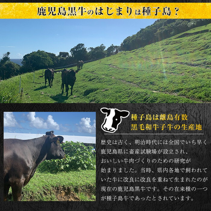 鹿児島県西之表市の画像2