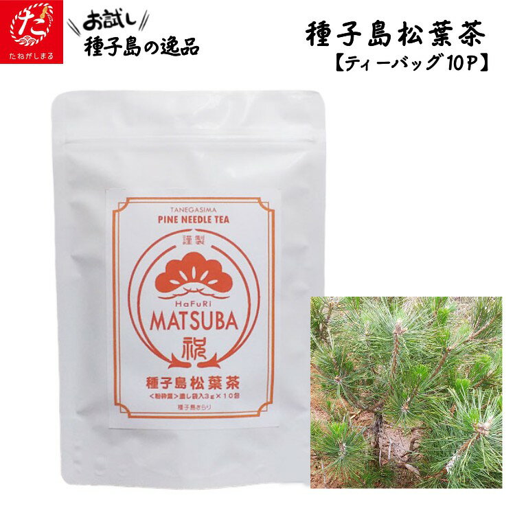 種子島松葉茶[30g] 種子島 松葉