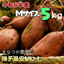 【ふるさと納税】\ 新物・先行予約中 / 種子島 安納いも \ Mサイズ 生いも 5kg /まなつか農園 在庫なくなり次第受付終了
