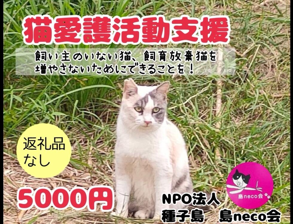 【ふるさと納税】＼返礼品なし／ 猫愛護活動支援 5000円～10000円 特定非営利活動法人　種子島 島neco会