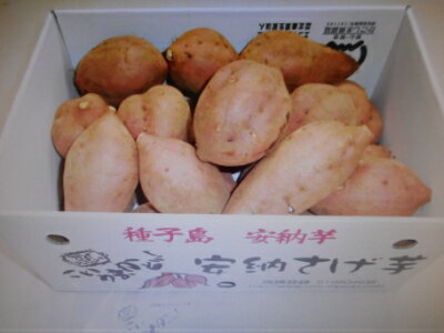 【ふるさと納税】REIMEI種子島安納芋（生芋）3kg(S・M・L混)