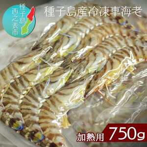 【ふるさと納税】種子島産　車えび（250g×3パック）合計750g