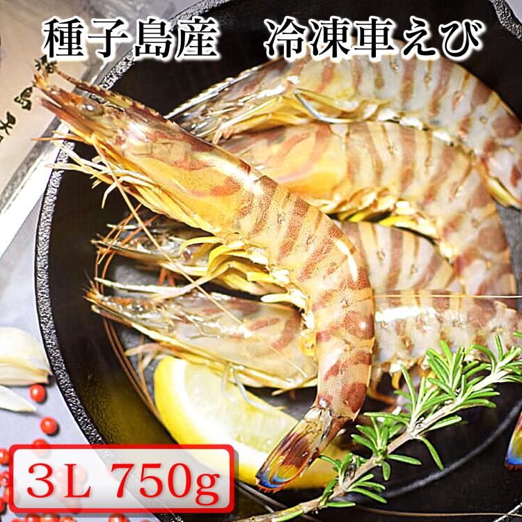 ڤդ뤵Ǽǡ ٱȴ 绺 ѥå  ֤  3L 750g (250g3ѥå) դ뤵Ǽ ...