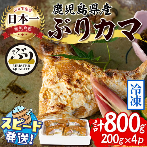 【ふるさと納税】<すぐ届く!>鹿児島産冷凍ぶりカマ(計800g・200g×4個)ぶり ブリ 鰤 魚 海鮮 魚介 カマ 国産 鹿児島県産 垂水市産 小分け 冷凍 養殖 ぶり職人【アクアブルー】A1-47162 【ふるさと納税】<すぐ届く!>鹿児島産冷凍ぶりカマ(計800g・200g×4個)ぶり ブリ 鰤 魚 海鮮 魚介 カマ 国産 鹿児島県産 垂水市産 小分け 冷凍 養殖 ぶり職人【アクアブルー】A1-47162
