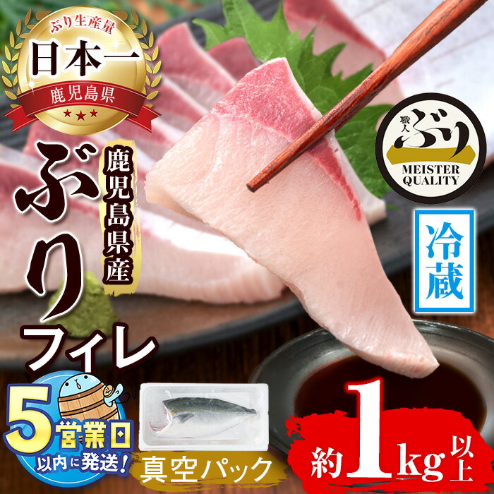 [すぐ届く!]鹿児島産冷蔵ぶりフィレ(1kg以上・半身1枚)ぶり ブリ 鰤 魚 海鮮 魚介 刺身 さしみ ぶりしゃぶ ブリしゃぶ しゃぶしゃぶ 焼魚 煮魚 フィレ 半身 片身 国産 鹿児島県産 垂水市産 冷蔵 養殖 ぶり職人[アクアブルー