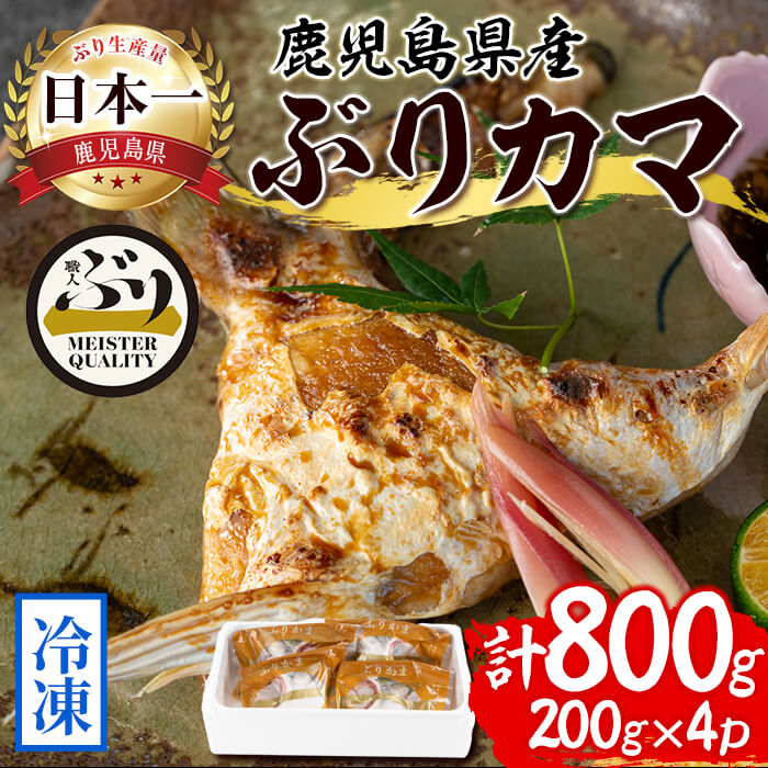 【ふるさと納税】鹿児島産冷凍ぶりカマ(計800g・200g×4個)ぶり ブリ 鰤 魚 海鮮 魚介 カマ 国産 鹿児島県産 垂水市産 小分け 冷凍 養殖 ぶり職人【アクアブルー】A1-47112