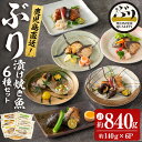 【ふるさと納税】鹿児島産冷凍ぶり＜漬け焼き魚＞6種セット(計約840g・約140g×6パック)ぶり ブリ 鰤 魚 魚介 照り焼き 西京漬け レモンペッパー バジルオイル ネギ塩 塩麹漬け 惣菜 おかず 国産 鹿児島県産 垂水市 小分け 冷凍 養殖 ぶり職人 弁当【アクアブルー】A1-47128