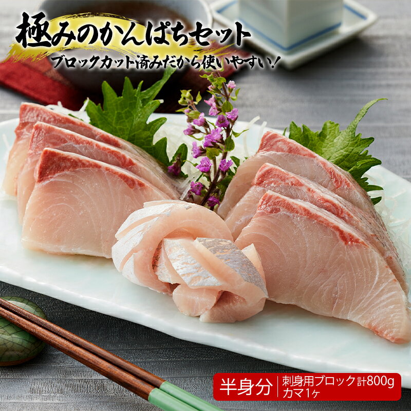 【ふるさと納税】極みのかんぱちセット(刺身用ブロック計約800g、カマ1個)魚 魚介 海鮮 カンパチ かんぱち 勘八 刺身 柵 カマ あら煮 真空パック 冷凍 国産 鹿児島産 垂水市【東海シープロ】a1-5302