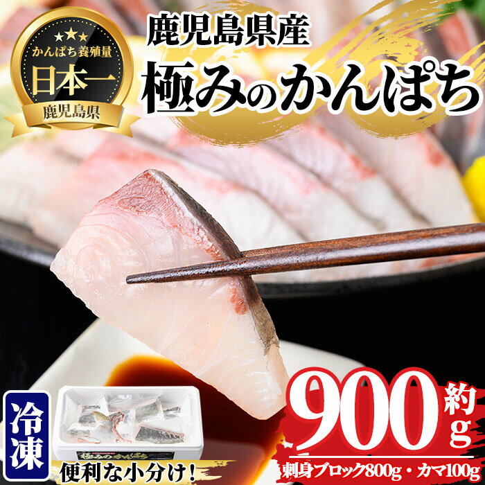 【ふるさと納税】極みのかんぱちセット(計約900g 刺身用ブロック約800g・カマ約100g)魚 魚介 海鮮 カンパチ かんぱち 勘八 刺身 柵 カマ あら煮 真空パック 冷凍 国産 鹿児島産 垂水市【東海シープロ】A1-5303