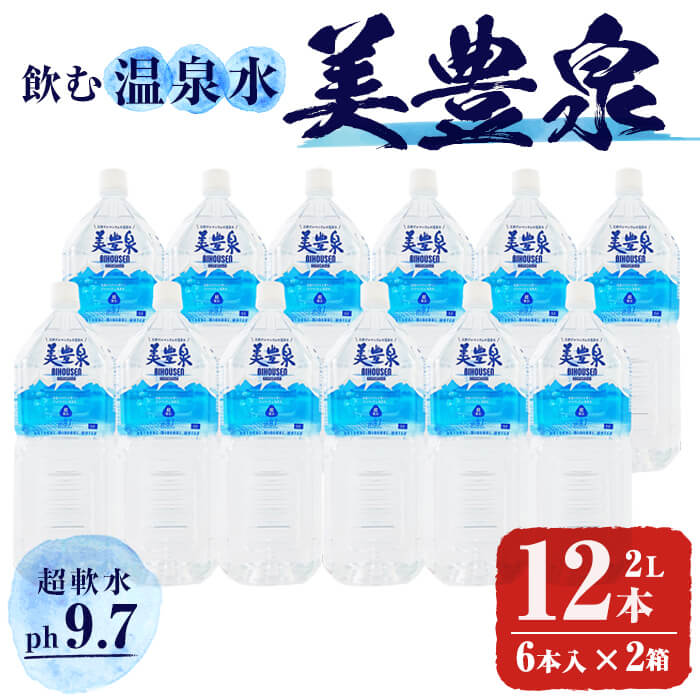 【ふるさと納税】飲む温泉水/美豊泉 (2L×12本) 水 ミ