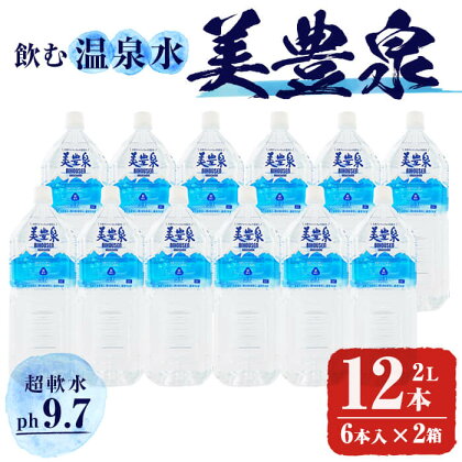 飲む温泉水/美豊泉 (2L×12本) 水 ミネラルウォーター 温泉水 シリカ水 軟水 超軟水 ペットボトル 2L 国産 鹿児島産 垂水市 常温 常温保存【池田建設】A1-1404