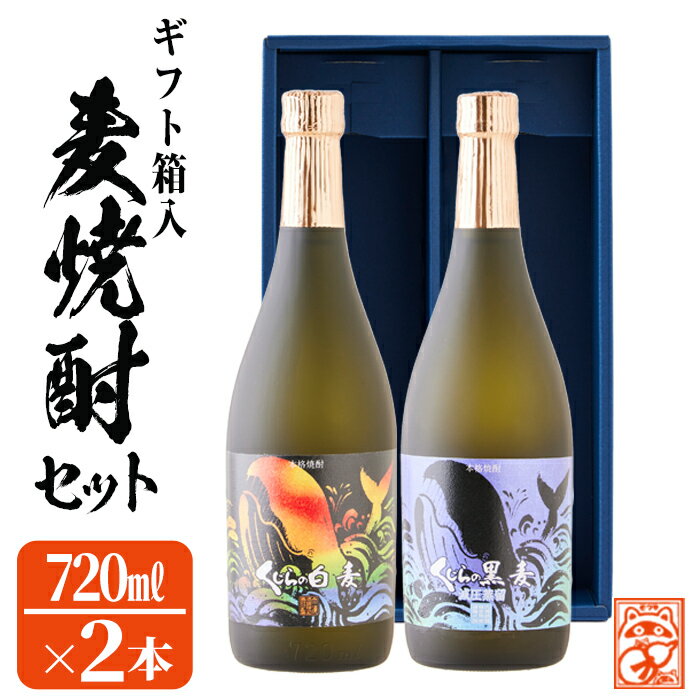 【ふるさと納税】【数量限定】大海酒造麦焼酎 ギフト箱入り2種