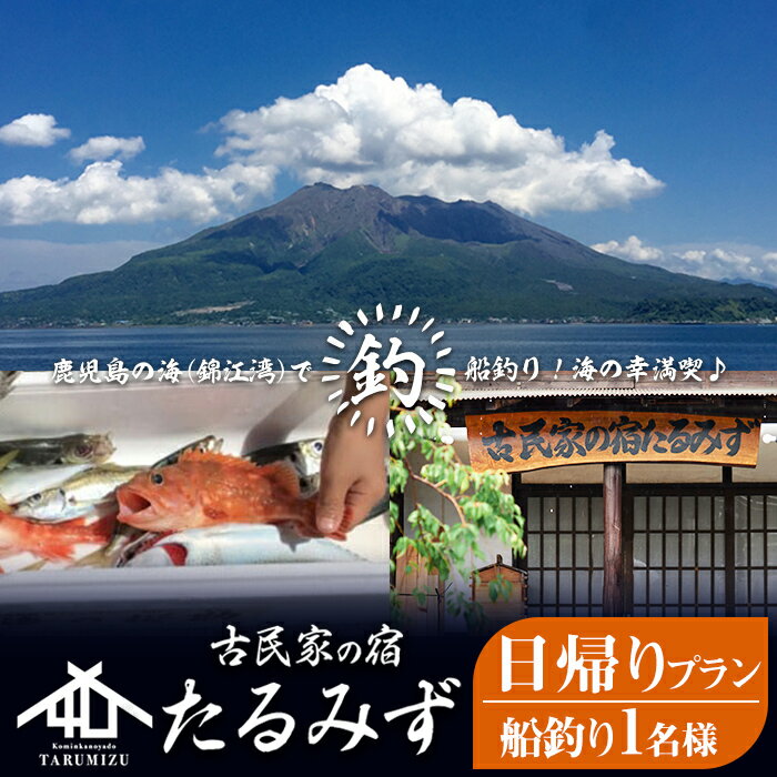 【ふるさと納税】錦江湾で船釣り！海の幸満喫 日帰りプラン(1