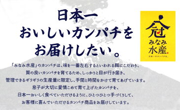 【ふるさと納税】母の手づくりカンパチみそ漬け・桜島巻