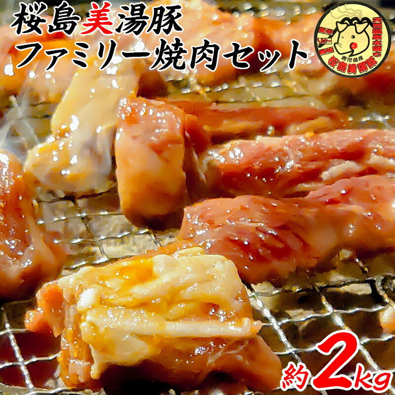 鹿児島県産桜島美湯豚ファミリー焼肉セット(計2kg・200g×5種×2パック)豚肉 豚 肉 モモ 肩ロース ロース 味付 焼肉 セット 国産 鹿児島産 垂水市[垂水未来創造商社]B2-4506