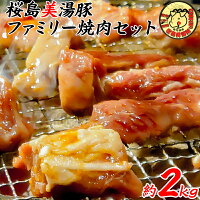 【ふるさと納税】桜島美湯豚ファミリー焼肉セット
