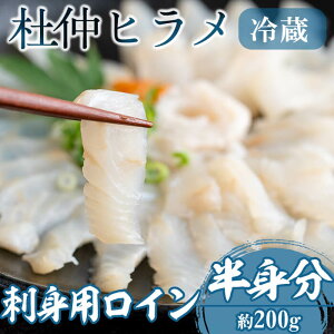 【ふるさと納税】杜仲ヒラメ刺身用ロイン＜半身分フィレ＞(200g)魚 ヒラメ ひらめ さしみ 刺身 柵 国産 鹿児島産 冷蔵【森商店】A1-30127