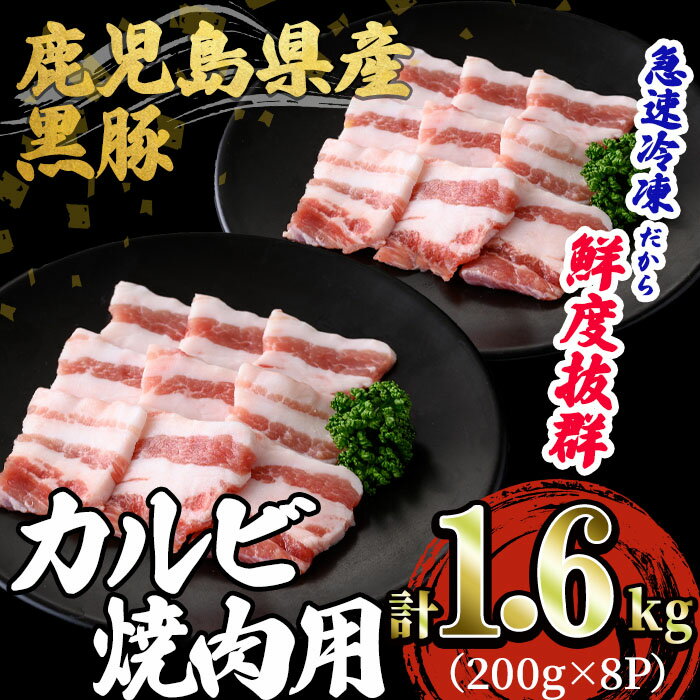 鹿児島県産 「黒豚」焼肉・BBQ用カルビ(計1.6kg・200g×8P)黒豚 豚肉 豚 肉 カルビ バラ 豚バラ 焼肉 焼き肉 BBQ 小分け 真空パック 国産 鹿児島産 冷凍[森商店]B2-3080