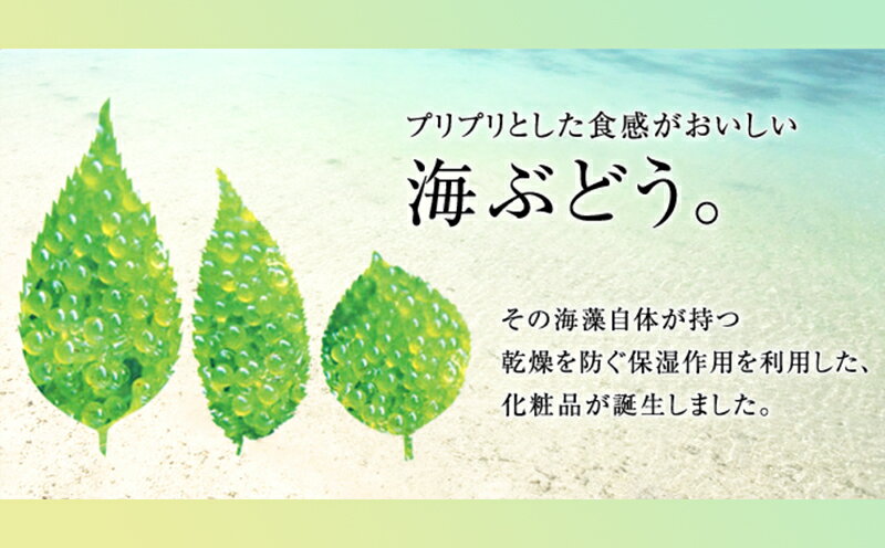 【ふるさと納税】グリーンキャビアローション50ml鹿児島 海ブドウ 化粧品 しっとり 保湿 化粧水