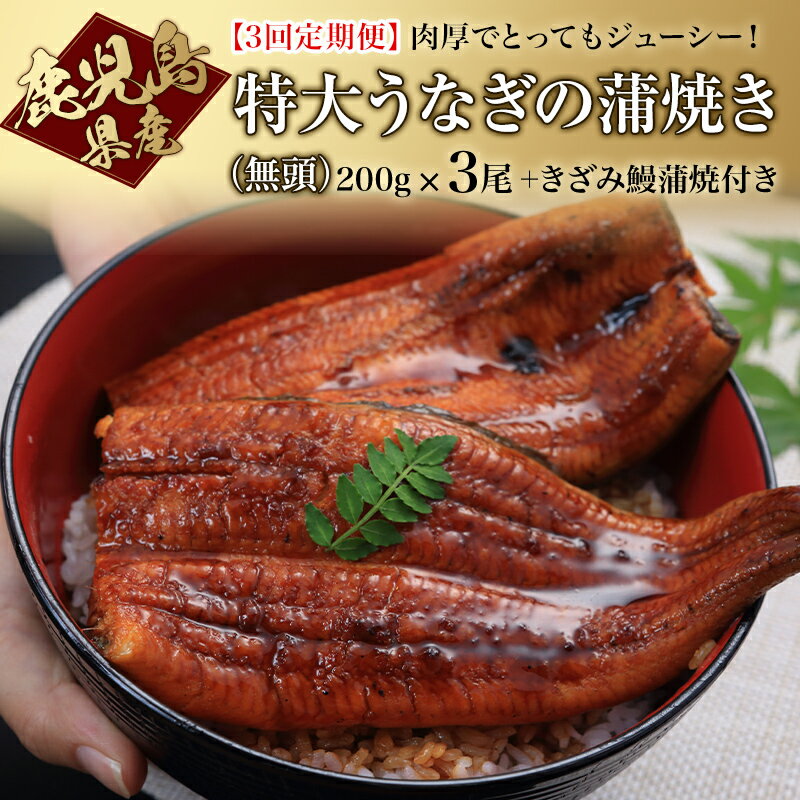 無能な非コミュがふるさと納税 うなぎ 鹿児島をダメにする 無能な非コミュがふるさと納税 うなぎ 鹿児島をダメにする
