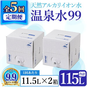 【ふるさと納税】【定期便・全5回】飲む温泉水 温泉水99(計115L・11.5L×2箱×5回)水 ミネラルウォーター 温泉水 飲む温泉水 シリカ 飲料 BIB バックインボックス 定期便 頒布会 国産 鹿児島産 垂水市 温泉水99【エスオーシー】F6-0808