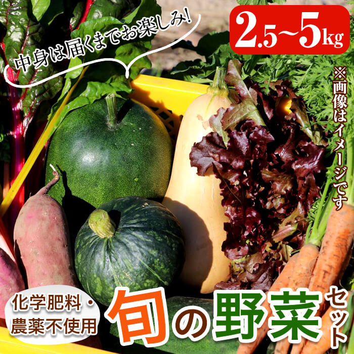 全国お取り寄せグルメ鹿児島野菜セット・詰め合わせNo.2