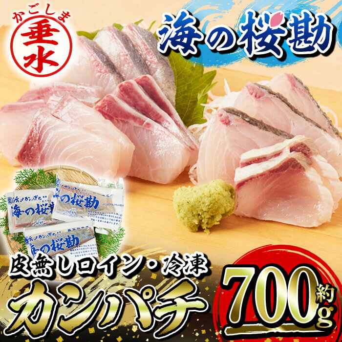 その他水産物(カンパチ)人気ランク10位　口コミ数「3件」評価「5」「【ふるさと納税】鹿児島県垂水市産カンパチ『海の桜勘』皮無しロイン（約700g） 冷凍 魚 魚介 海鮮 カンパチ かんぱち 勘八 刺身 柵 しゃぶしゃぶ 国産 鹿児島産 垂水【垂水市漁業協同組合】A1-0122」