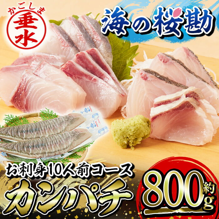 【ふるさと納税】鹿児島県垂水市産カンパチ『海の桜勘』約10人前 お刺身コース 皮無しロイン（合計約800g・背身と腹身各1本ずつ）冷蔵 魚 魚介 海鮮 カンパチ かんぱち 勘八 刺身 柵 しゃぶしゃぶ 国産 鹿児島産 垂水【垂水市漁業協同組合】B2-0111