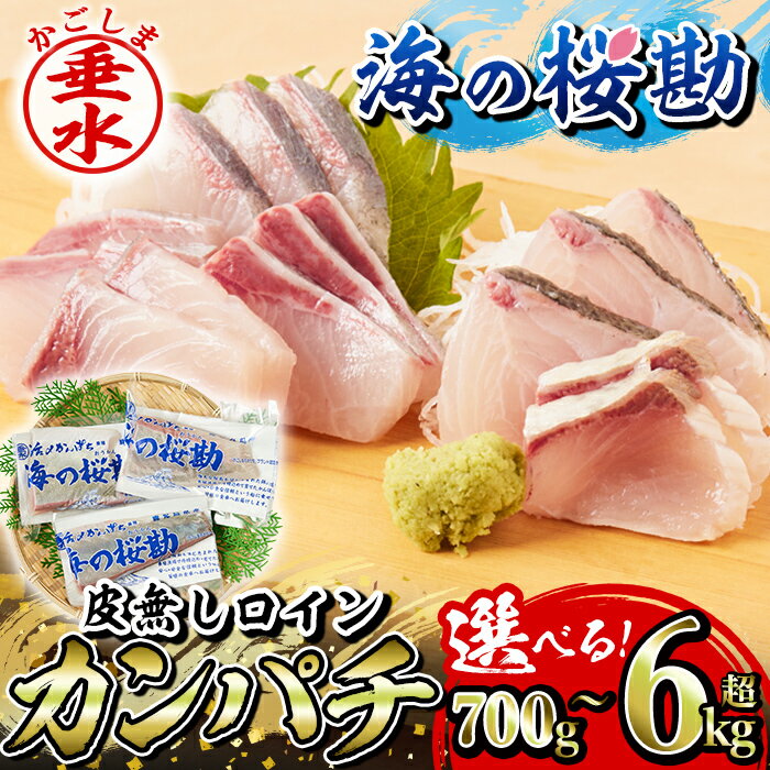 【ふるさと納税】【配送方法が選べる】鹿児島県垂水市産カンパチ『海の桜勘』皮無しロイン(約700g〜6.3kg)定期便 冷凍 魚 魚介 海鮮 カンパチ かんぱち 勘八 刺身 柵 しゃぶしゃぶ 国産 鹿児島産 垂水【垂水市漁業協同組合】